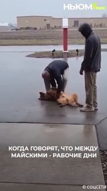 Продолжаем серию предпраздничных мемов. Кто такой же?