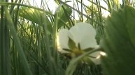 Прогулка с Сергеем по Крылатским холмам