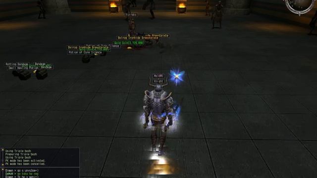 Как прокололся игрок Elemental Last Chaos