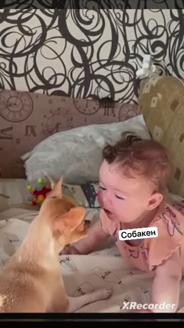 VID_20250501_155529_934.mp4