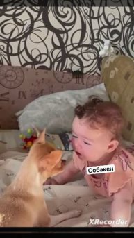 VID_20250501_155529_934.mp4