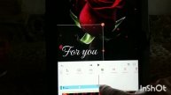 Как сделать красивый гиф в приложении YouCut #полезноевидео#видеоролики #гифы#youcut