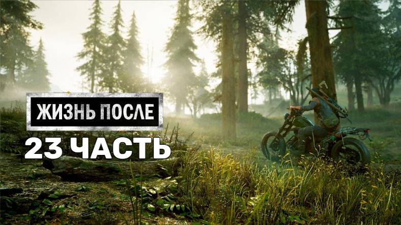 Жизнь После Days Gone-23-Полное прохождение JoystickGame#Без комментариев#60FPS