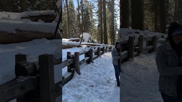 Наше путешествие в Секвойя Парк (штат Калифорния,США). Пишите в коментах, что хотели бы ещё увидеть
