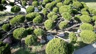 КАЛИНИНГРАД. НАБЕРЕЖНАЯ ПЕТРА ВЕЛИКОГО