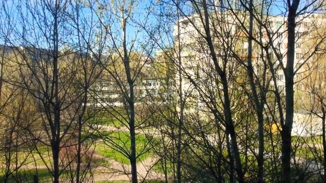 Всем доброго и прекрасного весеннего утра 25.04.+18 градусов все распускаются деревья Красота