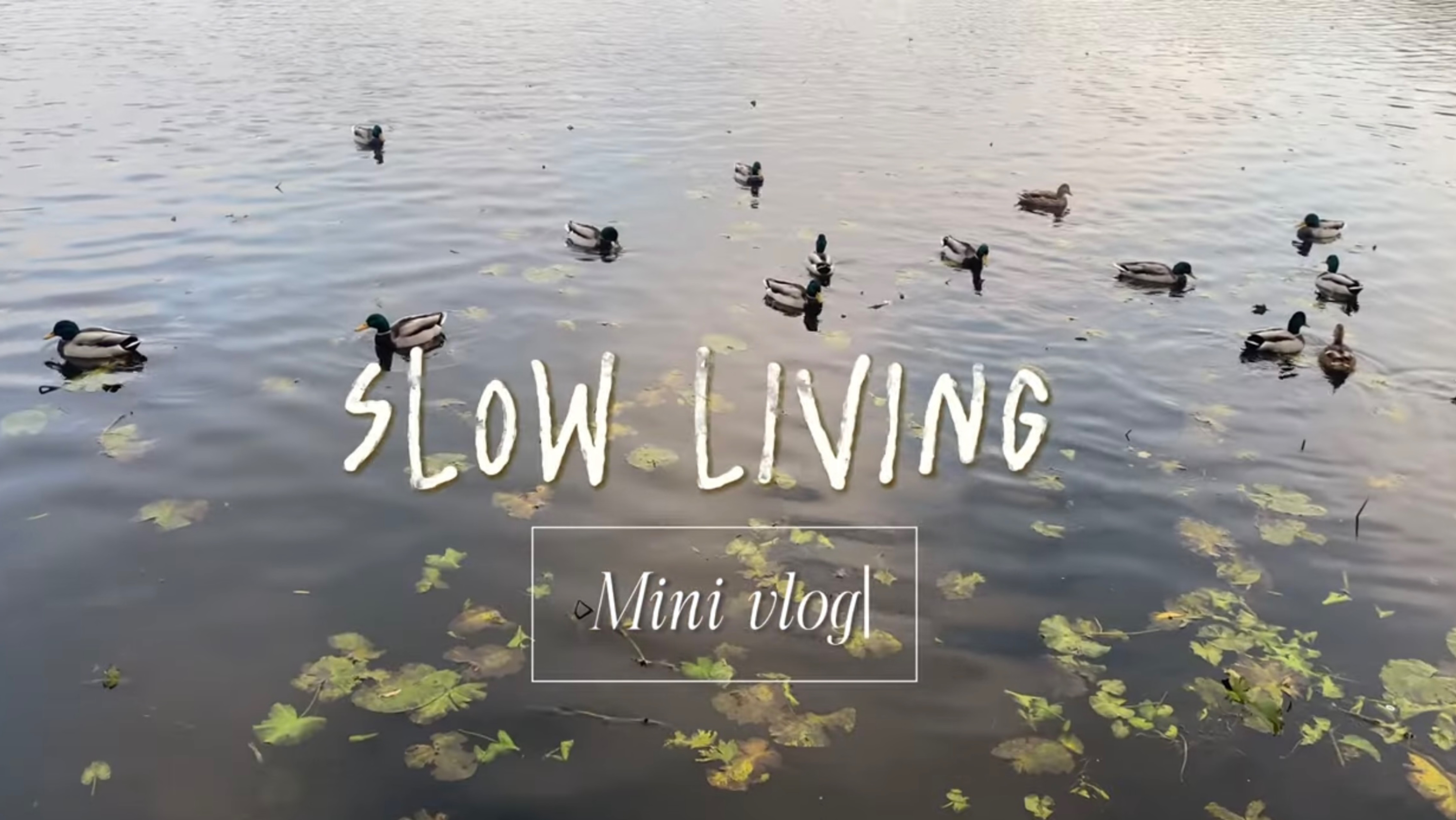 Slow living Осенняя хандра 🍂🍃 #aesthetic #slowliving #meditation #медитация #медленнаяжизнь