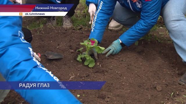 Палисадник Победы