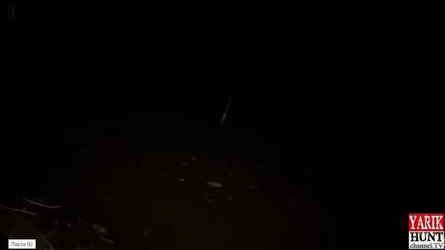 ЛОВЛЯ СОМА НА РЕКЕ С ЛОДКИ / ОГРОМНЫЕ ГИГАНТЫ / РЫБАЛКА ПО ХОЛОДНОЙ ВОДЕ