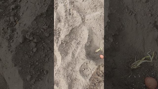 1 мая