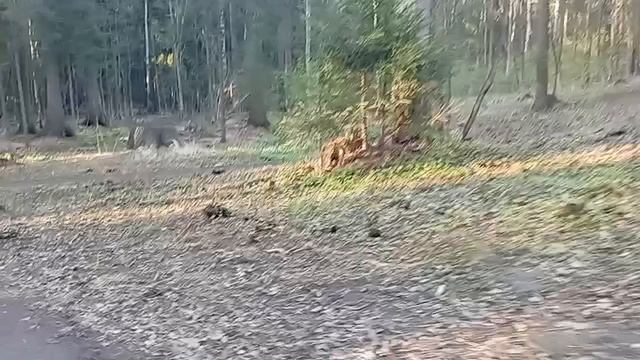 1000006090.mp4