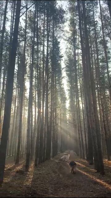 Приветы из семей. Рик.