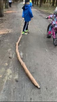 В лесу