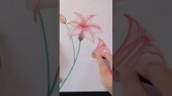 Цветы