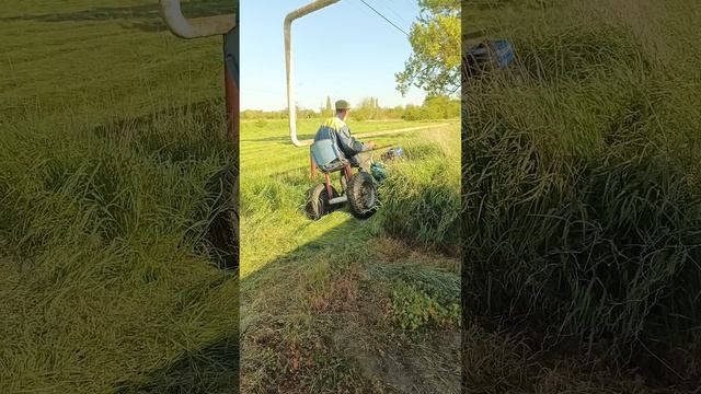 Отмечаем 1 МАЯ ударным сенокосом!