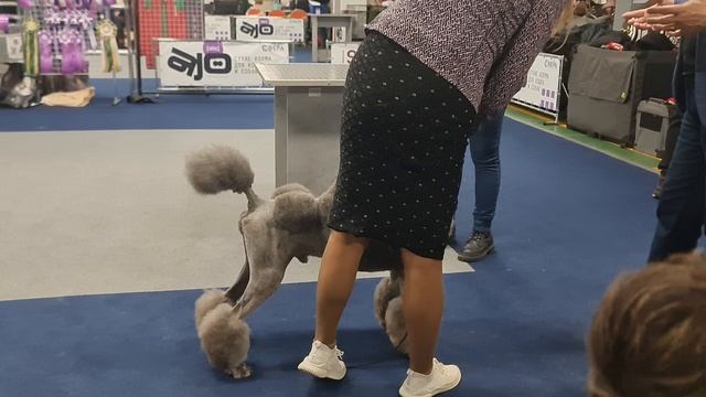 1000208639.mp4