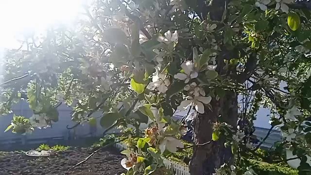 Для души!💮