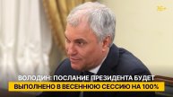 Володин: послание Президента РФ Федеральному Собранию будет выполнено в весеннюю сессию на 100%