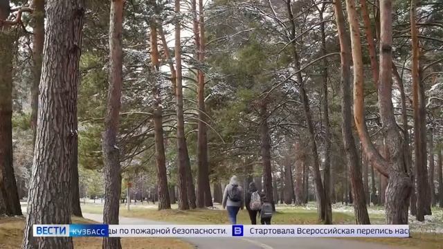 о проекте Мы вместе