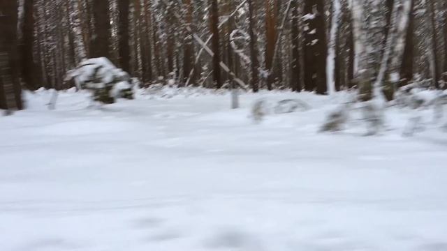 Лыжи. Первая пятнашка