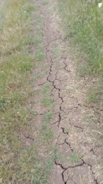О климате и так, иду в магазин, за водой.