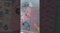 Новинка на канале! Лило и Стич. Stich. Обзор со Стичем.