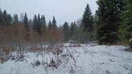 ДОБРЫЙ ВЕЧЕР! ПУСТЬ ОСТАНЕТСЯ ТЕПЛО♨ ОТ НАШЕЙ ВСТРЕЧИ
