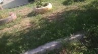 момо в реальной жизни побег