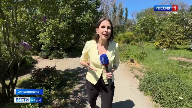 В Симферопольском ботсаду зацвёл один из символов Победы советского народа над фашизмом — сирень