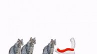 Приключения снежки часть 1. Вокруг врагов