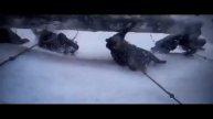 Русская Рать. -- Ой что то мы засиделись братцы...