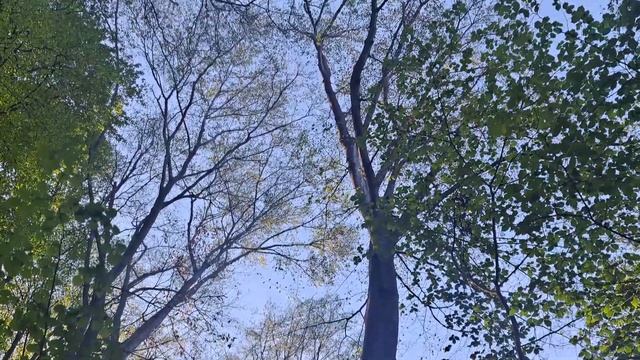 Предео изузетних одлика Авала