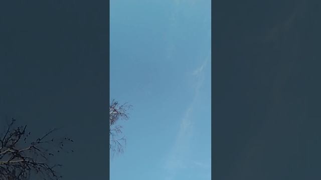 Minecraft в Реал лайф 2