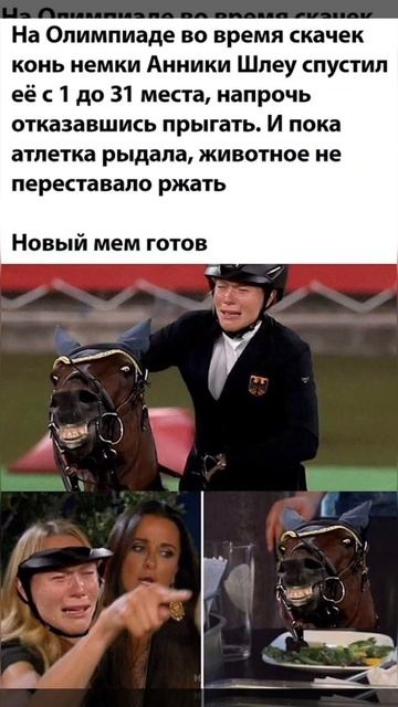 конный спорт❤️❤️❤️