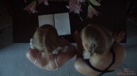 Зона интересов смотреть бесплатно в хорошем