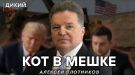 Сделка, или Разводняк …Алексей Плотников.