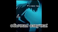 обычная озвучка /моя озвучка :_)