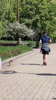Утренний Донецк.💪💪💪
В Донецке все на спорте.
И собаки, и люди 😎