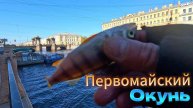 ПЕРВОМАЙСКАЯ РЫБАЛКА ОКУНЬ НА ДРОПШОТ РЕКИ КАНАЛЫ ГОРОДА ХОРОШИЙ ЗАРЯД ПОЗИТИВА НА ВЕСЬ ДЕНЬ