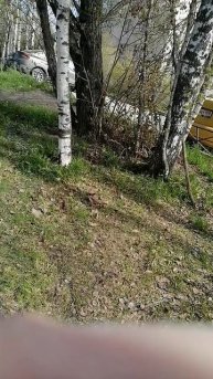 Напротив Семишагова
