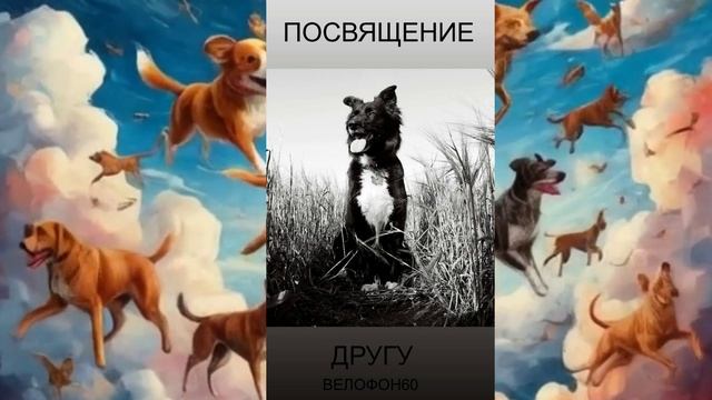 Посвящение другу