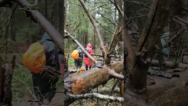 Поход. ПВД по подмосковью. Психологический поход.