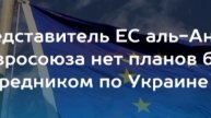 ЕС не планирует быть посредником в урегулировании украинского конфликта,и будут дальше поставлять ор
