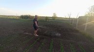 НАТАЛЬЯ ГУБАРЕВА. ЧЕМ Я ЗАНИМАЛАСЬ СЕГОДНЯ
