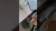 гусь обнимусь