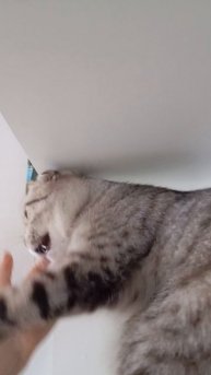 1000000312.mp4