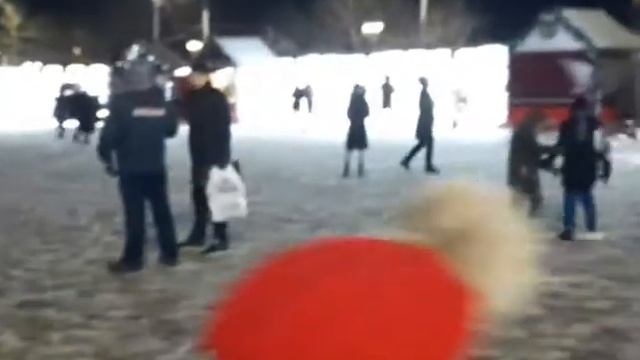 24.12.2020г. С первым снегом Вас , друзья!!!