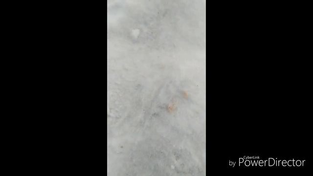 Сердечный приступ. Пранк над другом
