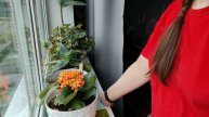 счастье жить в деревне, деревенская атмосфера и уют