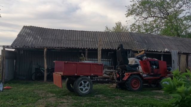 Съехала крыша, привез дрова, идут дожди, собираю сено.
